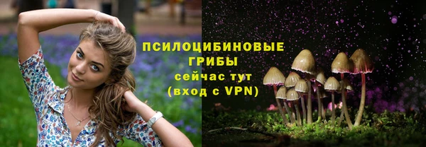 соль ск Заволжье